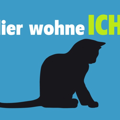 Schild Spruch Hier wohne Ich Katze JW