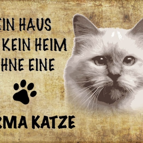 Schild Spruch Haus ist kein Heim ohne Birma Katze JW