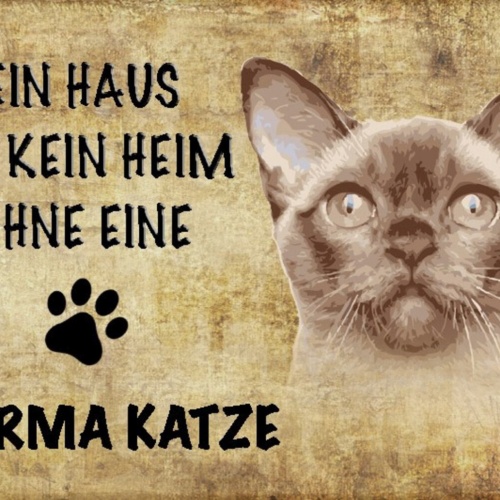 Schild Spruch Haus ist kein Heim ohne Burma Katze JW