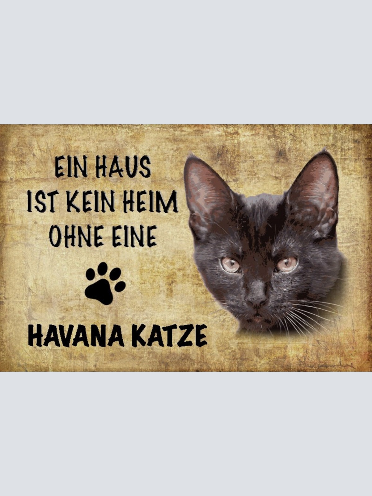 Schild Spruch Haus ist kein Heim ohne Havana Katze JW