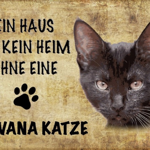 Schild Spruch Haus ist kein Heim ohne Havana Katze JW