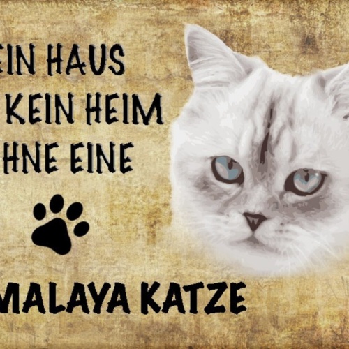 Schild Spruch Haus ist kein Heim ohne Himalaya Katze JW