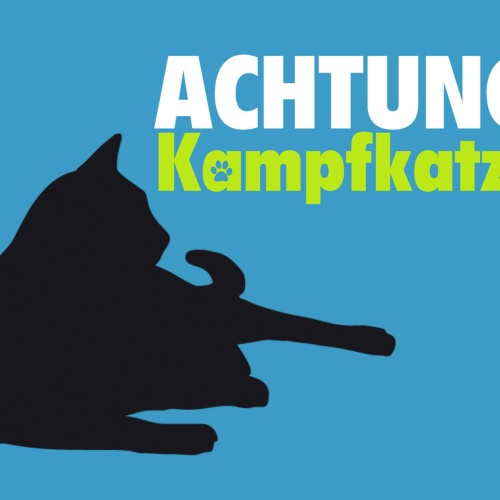 Schild Spruch Achtung Kampfkatze JW