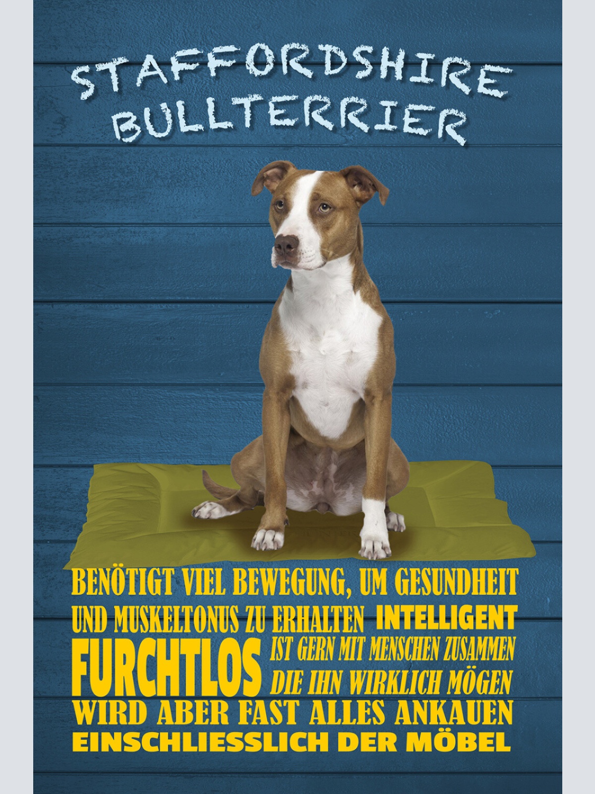 Schild Spruch Staffordshire Bullterrier Steckbrief Bennötigt Bewegung Hund JW