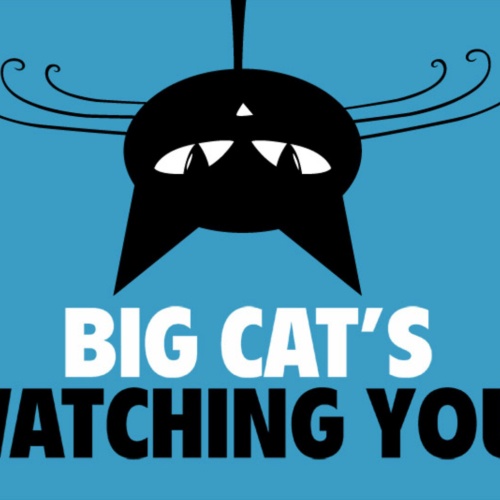 Schild Spruch Big Cats Watching Große Katzen beobachten dich Comic JW