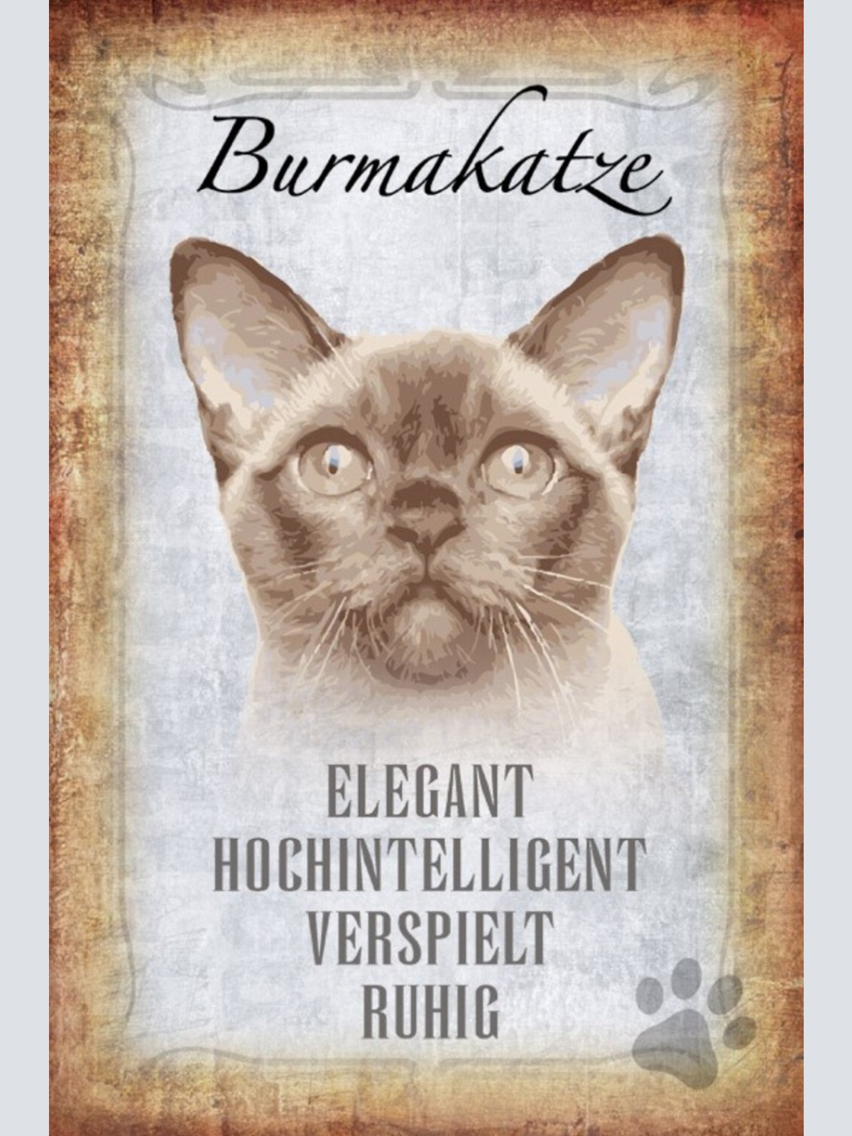 Schild Spruch Burmakatze Steckbrief Elegant Hochintelligent JW