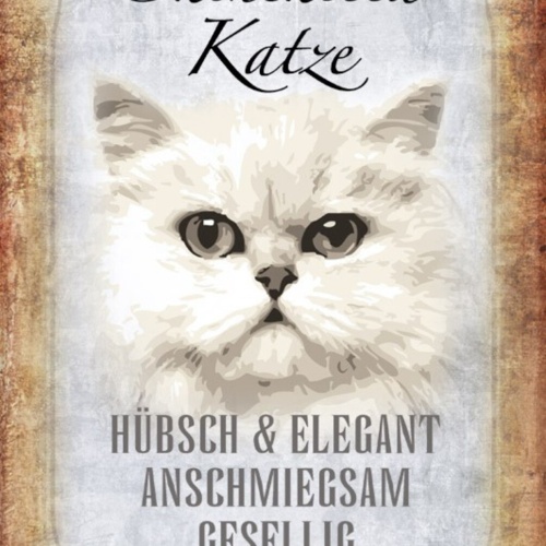 Schild Spruch Chinchilla Katze Steckbrief Hübsch Gesellig JW