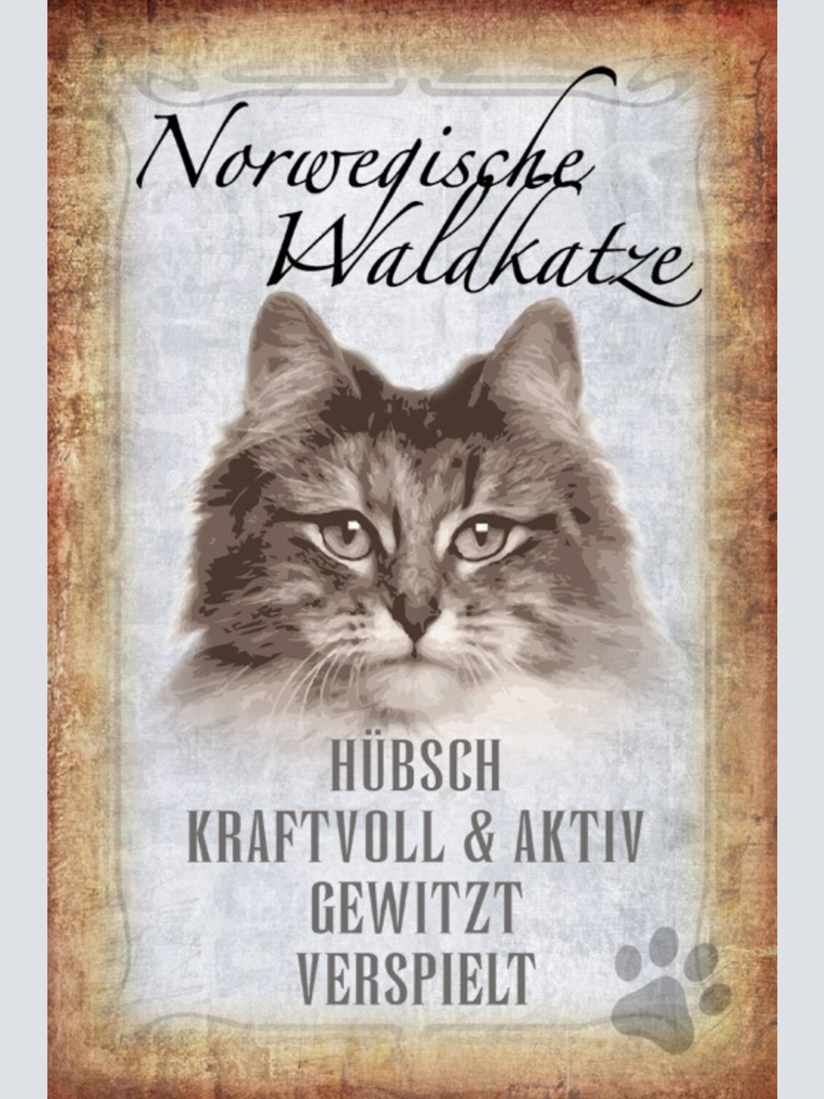 Schild Spruch Norwegische Waldkatze Hübsch Kraftvoll JW