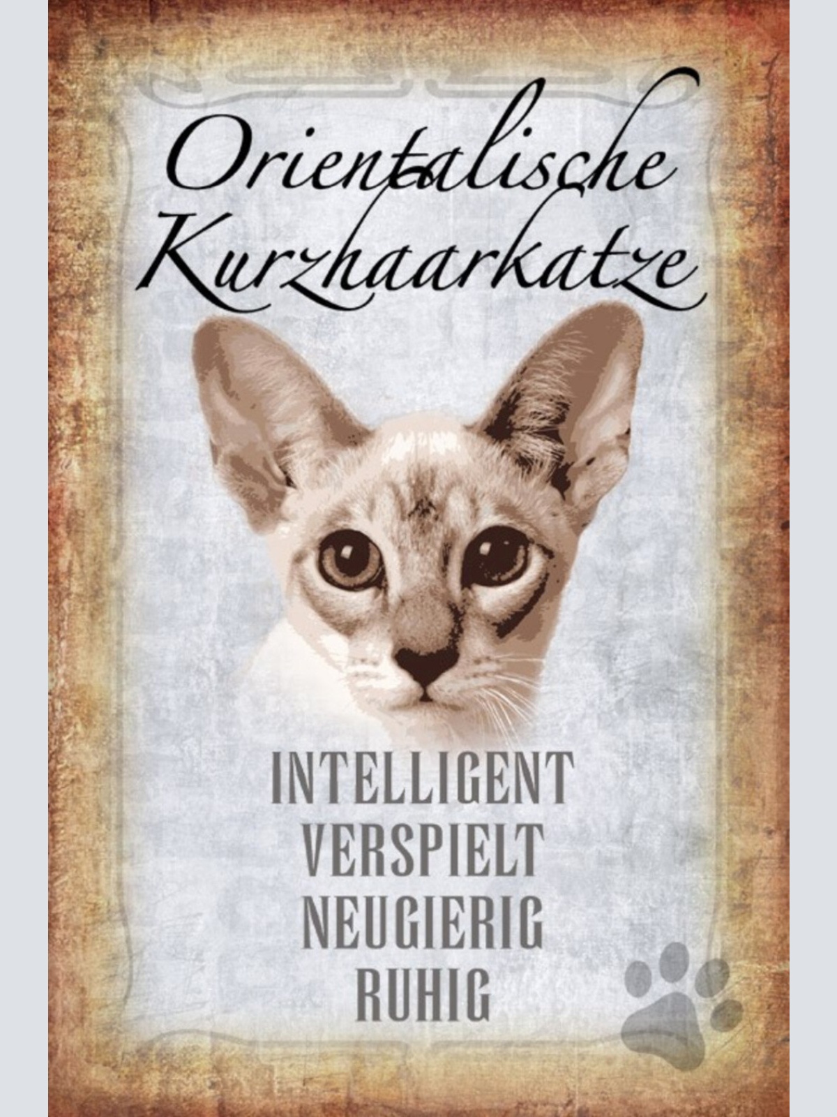 Schild Spruch Orientalische Kurzhaarkatze Steckbrief Intelligent Ruhig JW