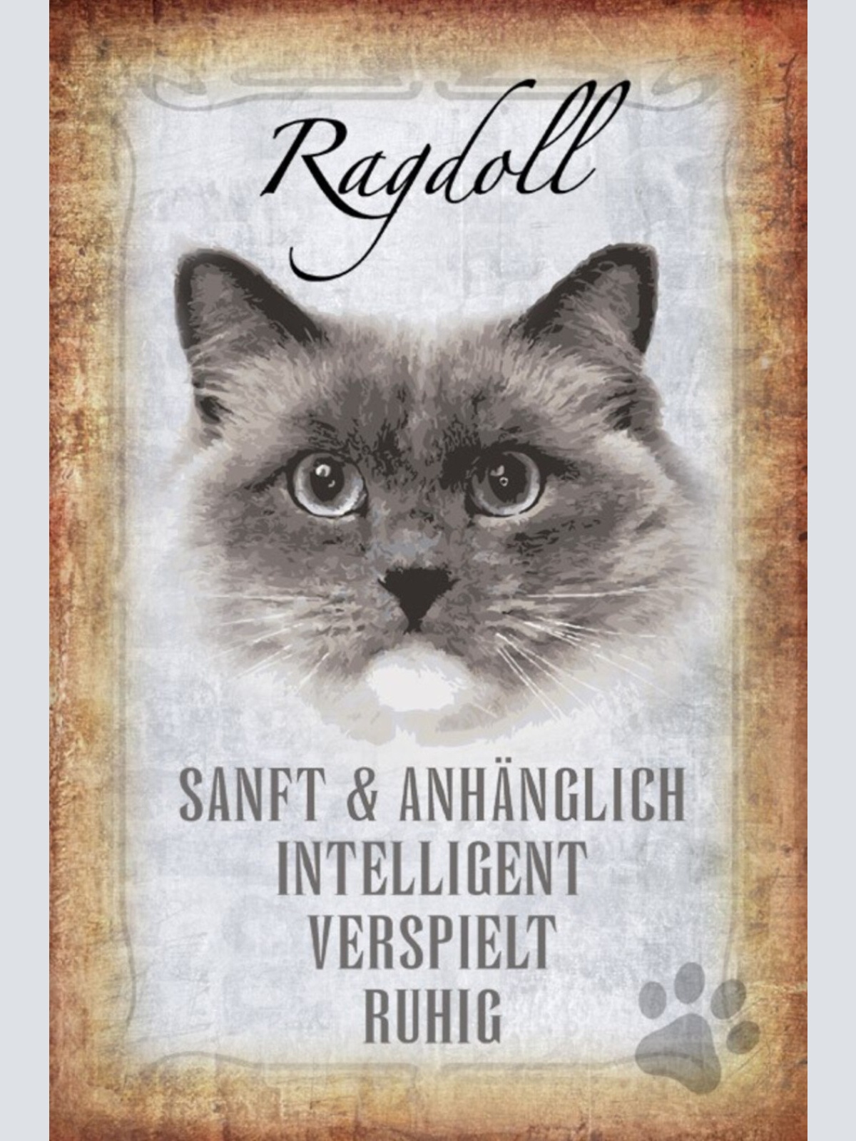 Schild Spruch Ragdoll Katze Steckbrief Sanft Intelligent JW