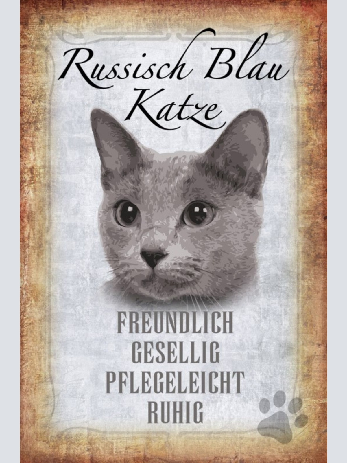 Schild Spruch Russisch Blau Katze Steckbrief Freundlich Gesellig JW