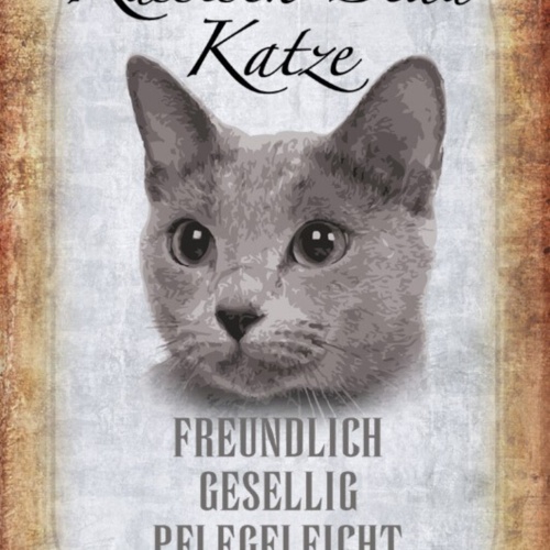 Schild Spruch Russisch Blau Katze Steckbrief Freundlich Gesellig JW