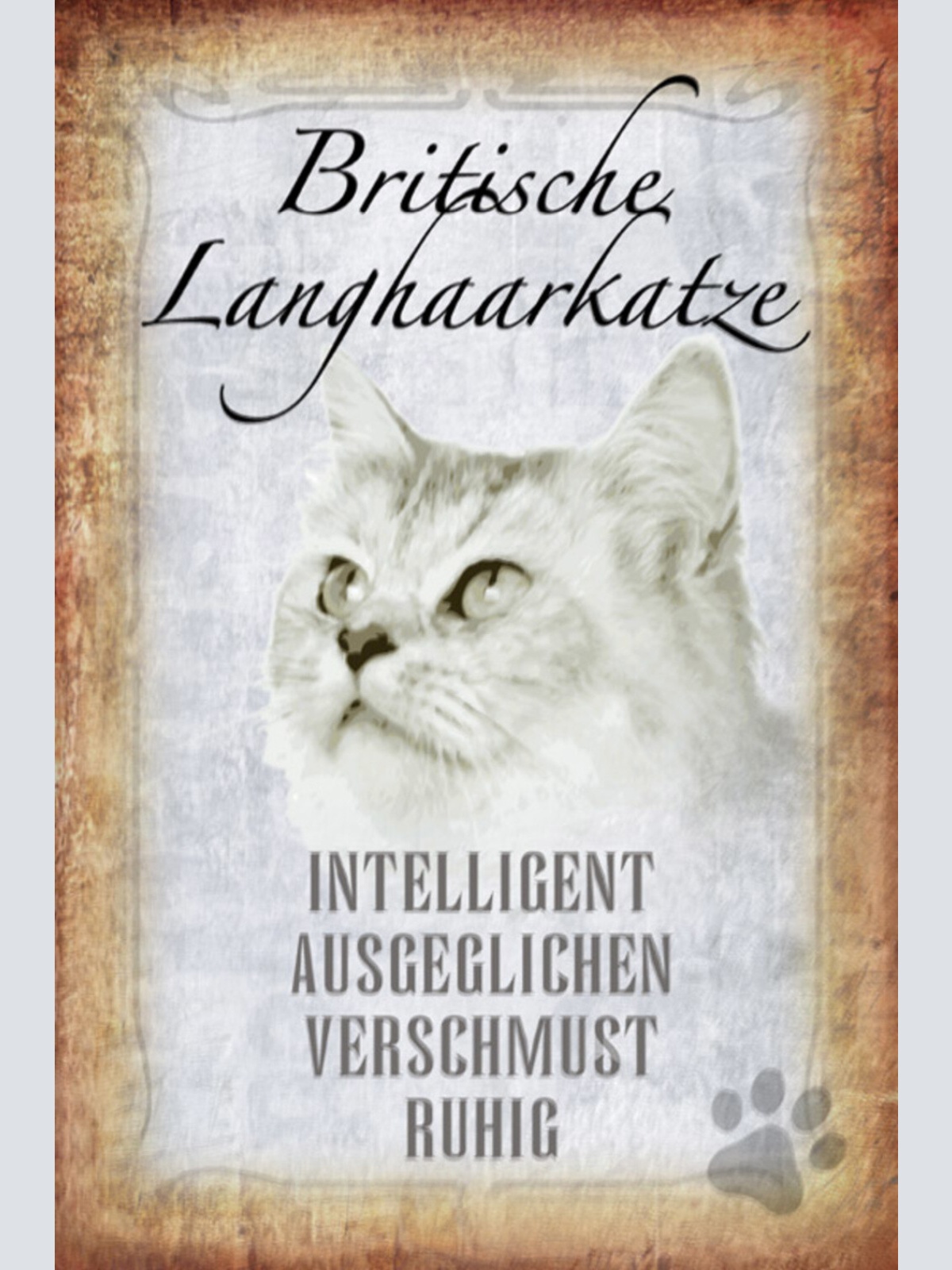Schild Spruch Britische Langhaarkatze Steckbrief Intelligent Ausgeglichen JW