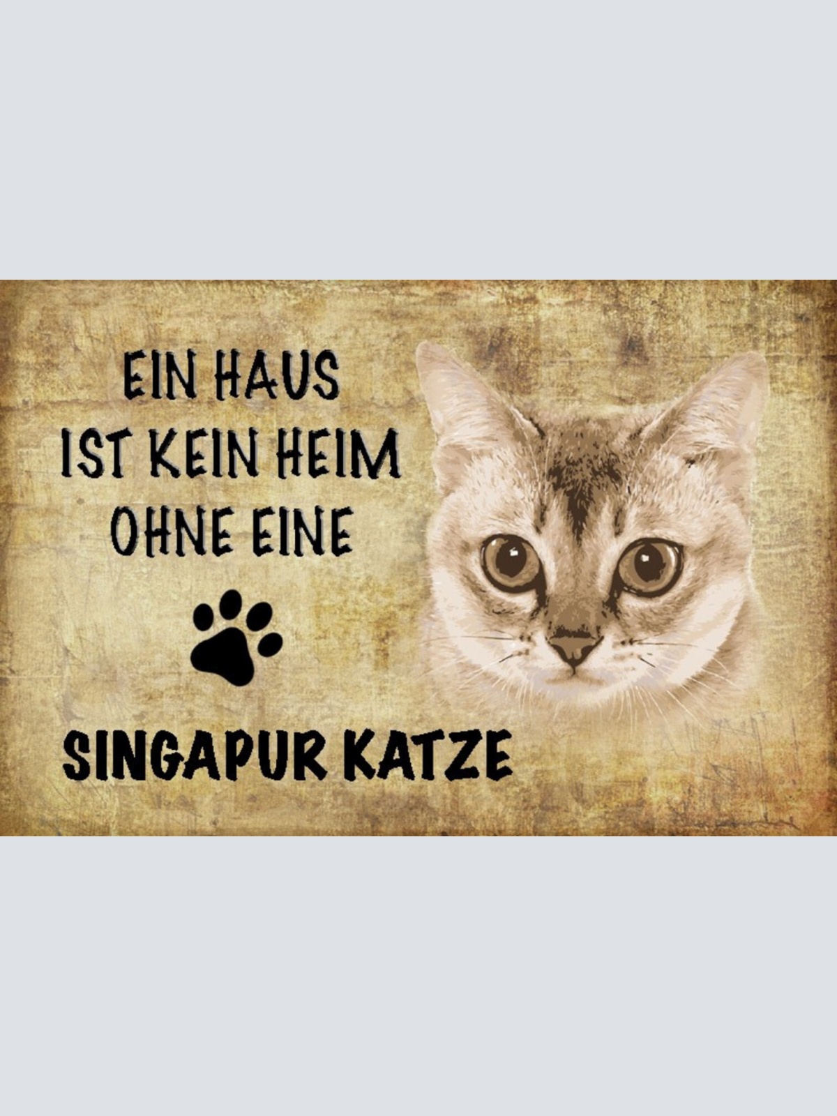 Schild Spruch Haus ist kein Heim ohne Singapur Katze JW