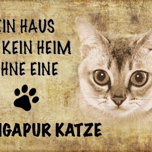 Schild Spruch Haus ist kein Heim ohne Singapur Katze JW