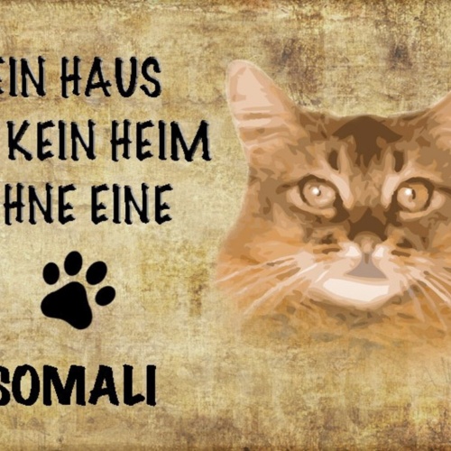 Schild Spruch Haus ist kein Heim ohne Samali Katze JW
