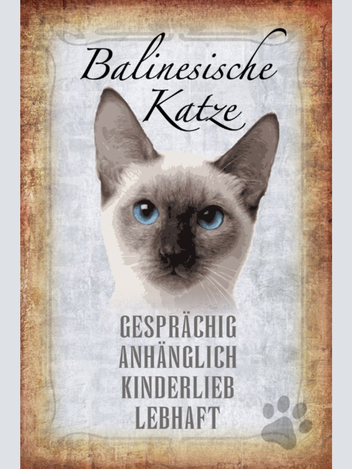 Schild Spruch Balinesische Katze Steckbrief Gesprächig Lebhaft JW