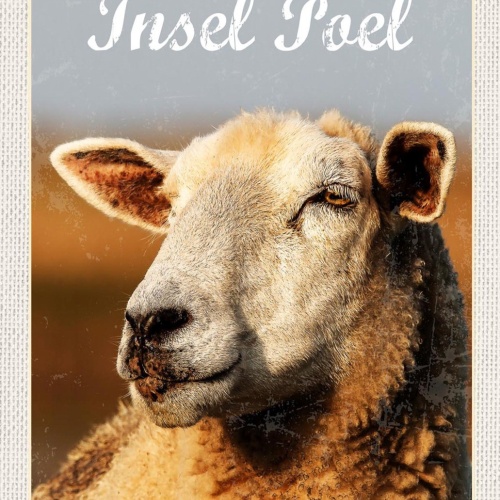 Schild Spruch Insel Poel Schaf JW
