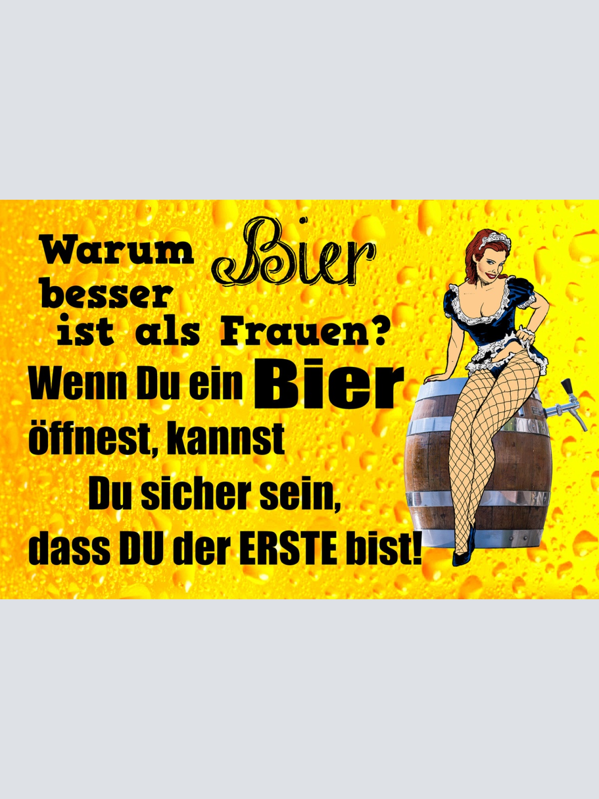 Schild Spruch Warum Bier besser ist als Frauen Bei Bier bist Erster Alkohol JW