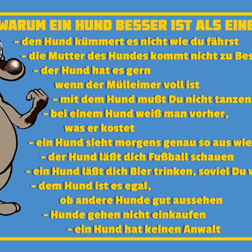 Schild Spruch Warum ein Hund besser ist als eine Frau Hund kümmert es nicht JW