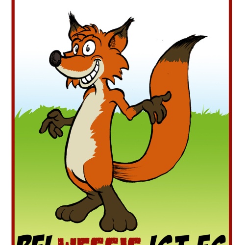 Schild Spruch Fuchs ist schlau Stellt sich dumm Wessis andersrum Ossi DDR JW