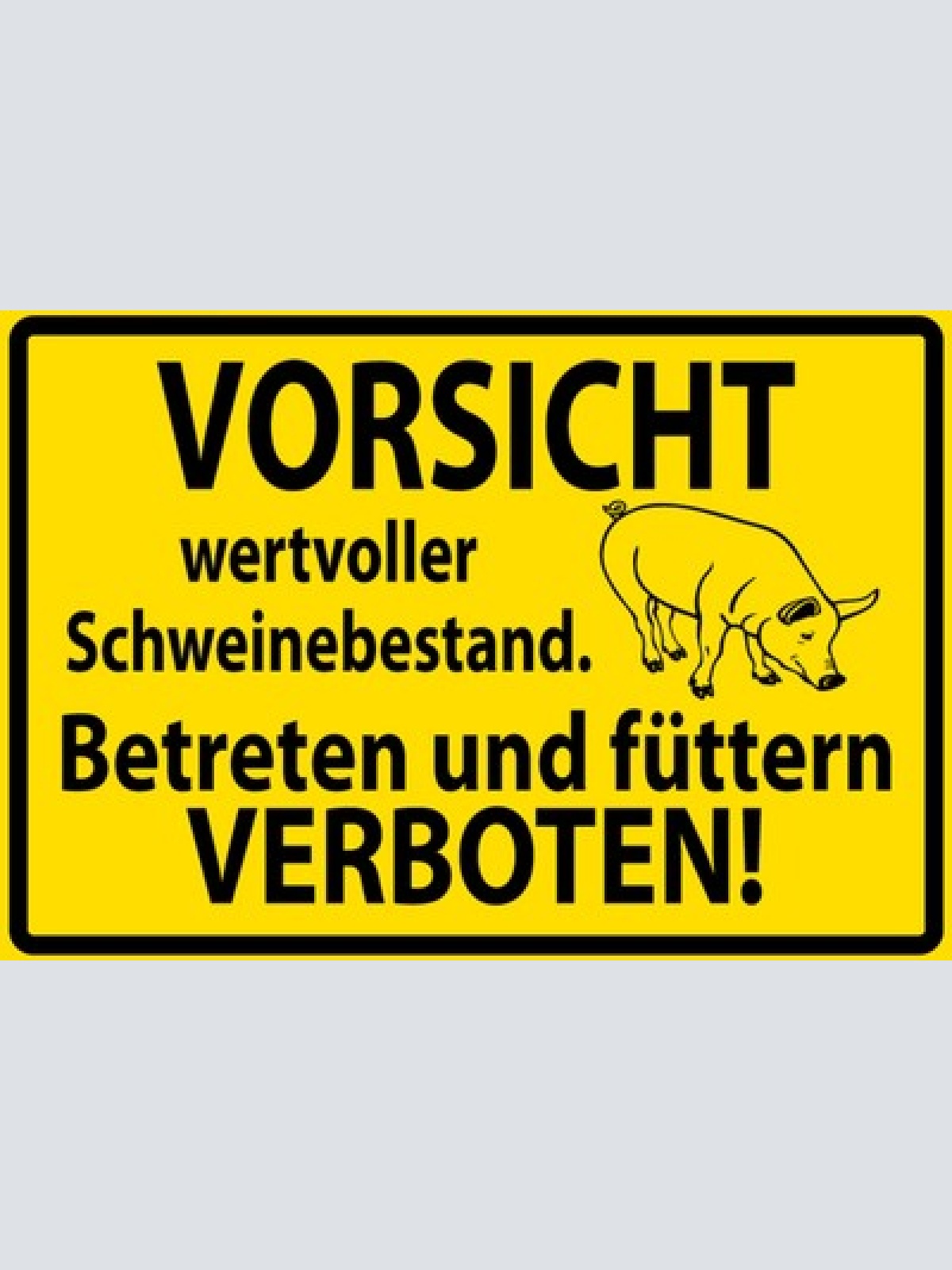 Schild Spruch Vorsicht wertvoller Schweinebestand Betreten füttern verboten JW
