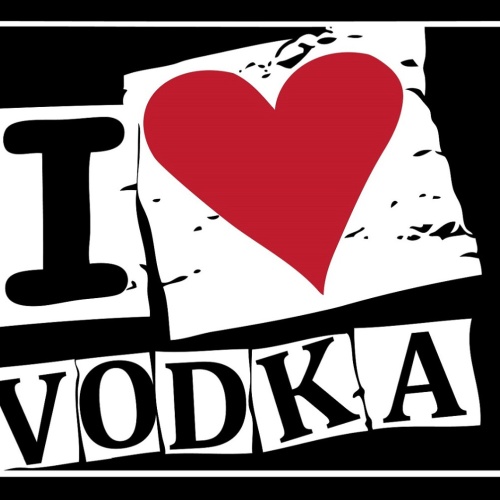 Schild Spruch I love Vodka Ich liebe Vodka Alkohol Party JW