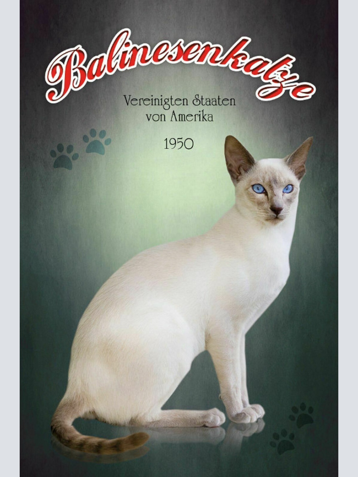 Schild Spruch Balinesenkatze Vereinigte Staaten von Amerika 1950 JW
