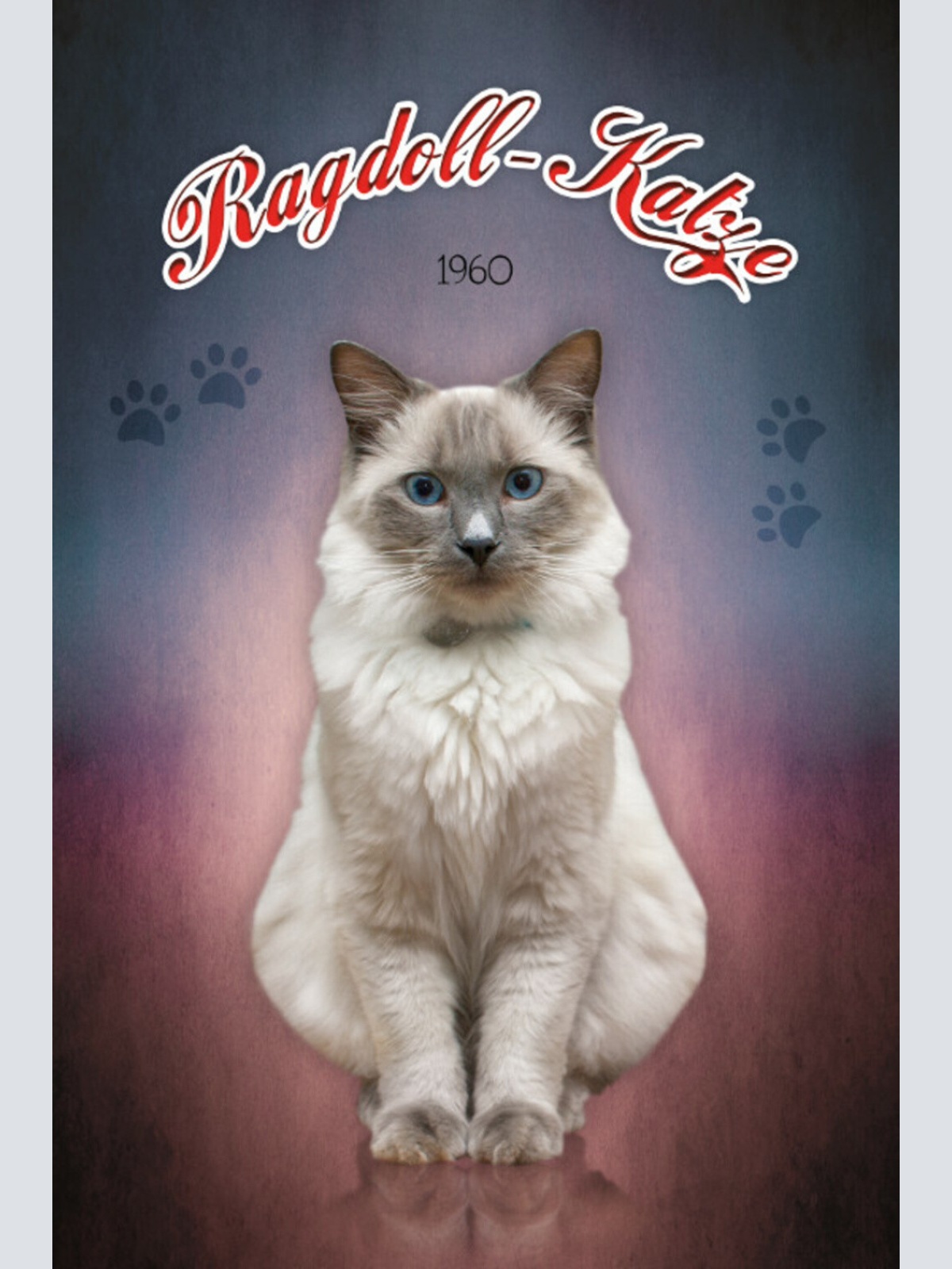 Schild Spruch Ragdoll Katze 1960 JW