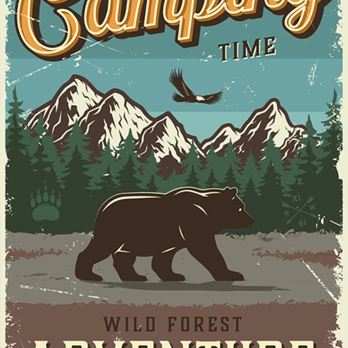 Schild Spruch Summer Camping Time Wild Forest Adventure Abenteuer Wald JW