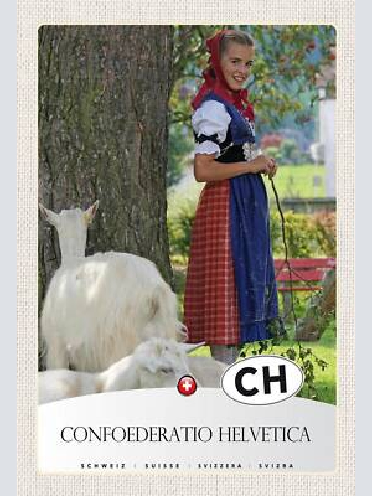 Schild spruch confoederatio helvetica switzerland schweiz mädchen heidi ziege jw