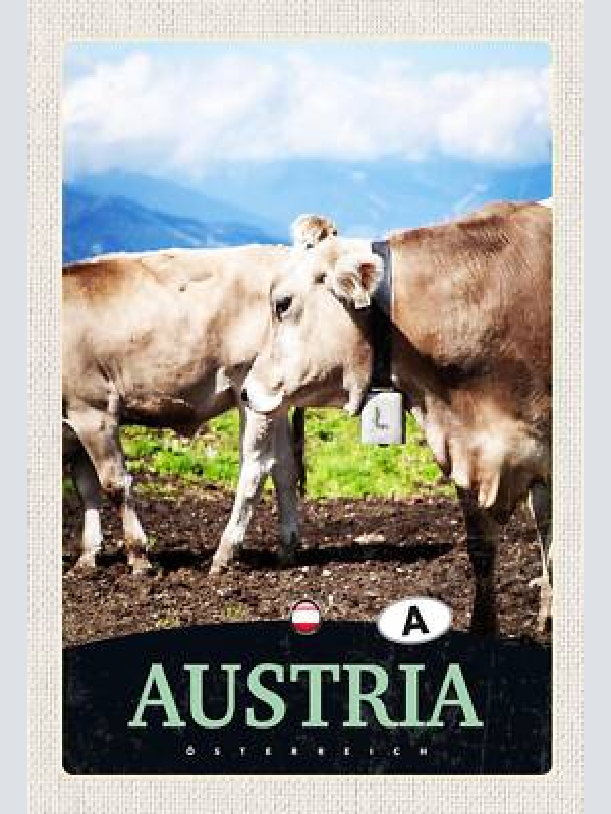 Schild spruch austria österreich kühe berge alm jw