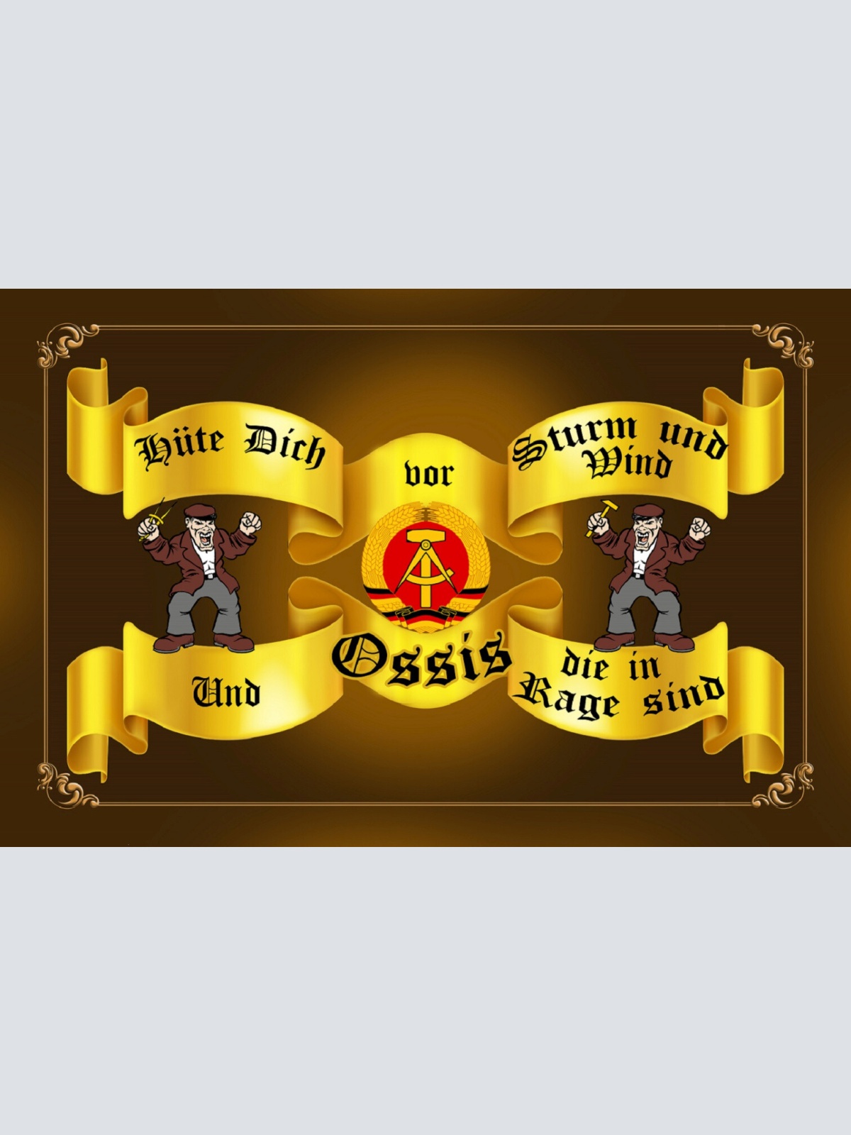 Schild Spruch Hüte dich vor Strum und Wind und Ossis die in Rage sind DDR JW