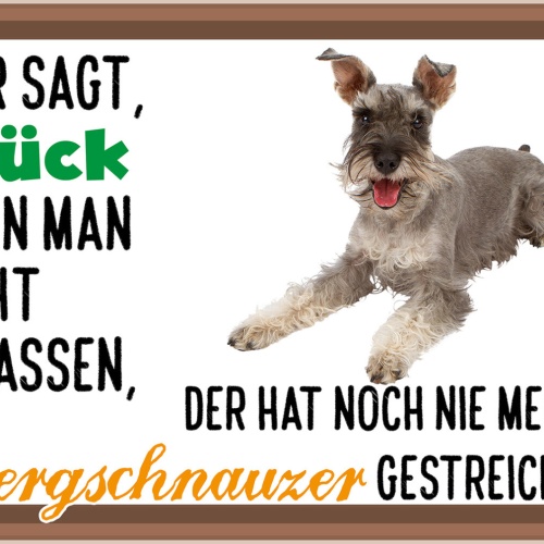 Schild Spruch Wer sagt Glück nicht anfassen nie Zwergschnauzer gestreichelt JW