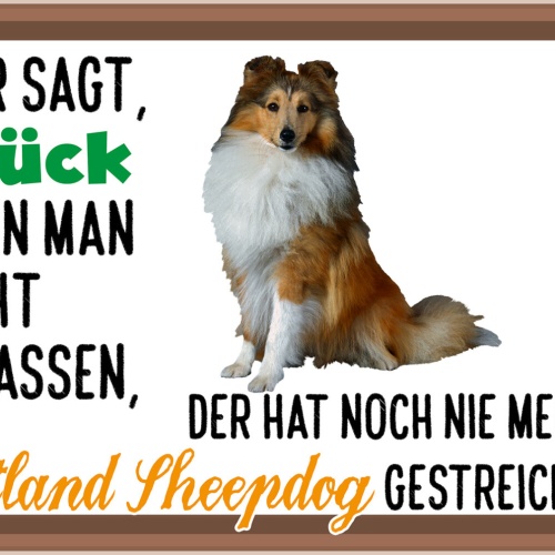 Schild Spruch Wer sagt Glück nicht anfassen nie Shetland Sheepdog gestreicheltJW