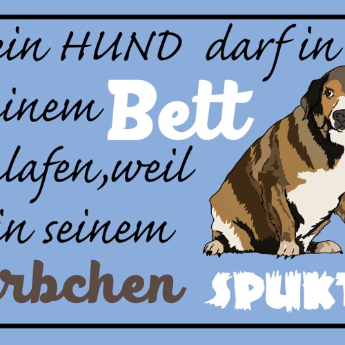 Schild Spruch Hund darf in Bett schlafen Weil es im Körbchen spukt JW
