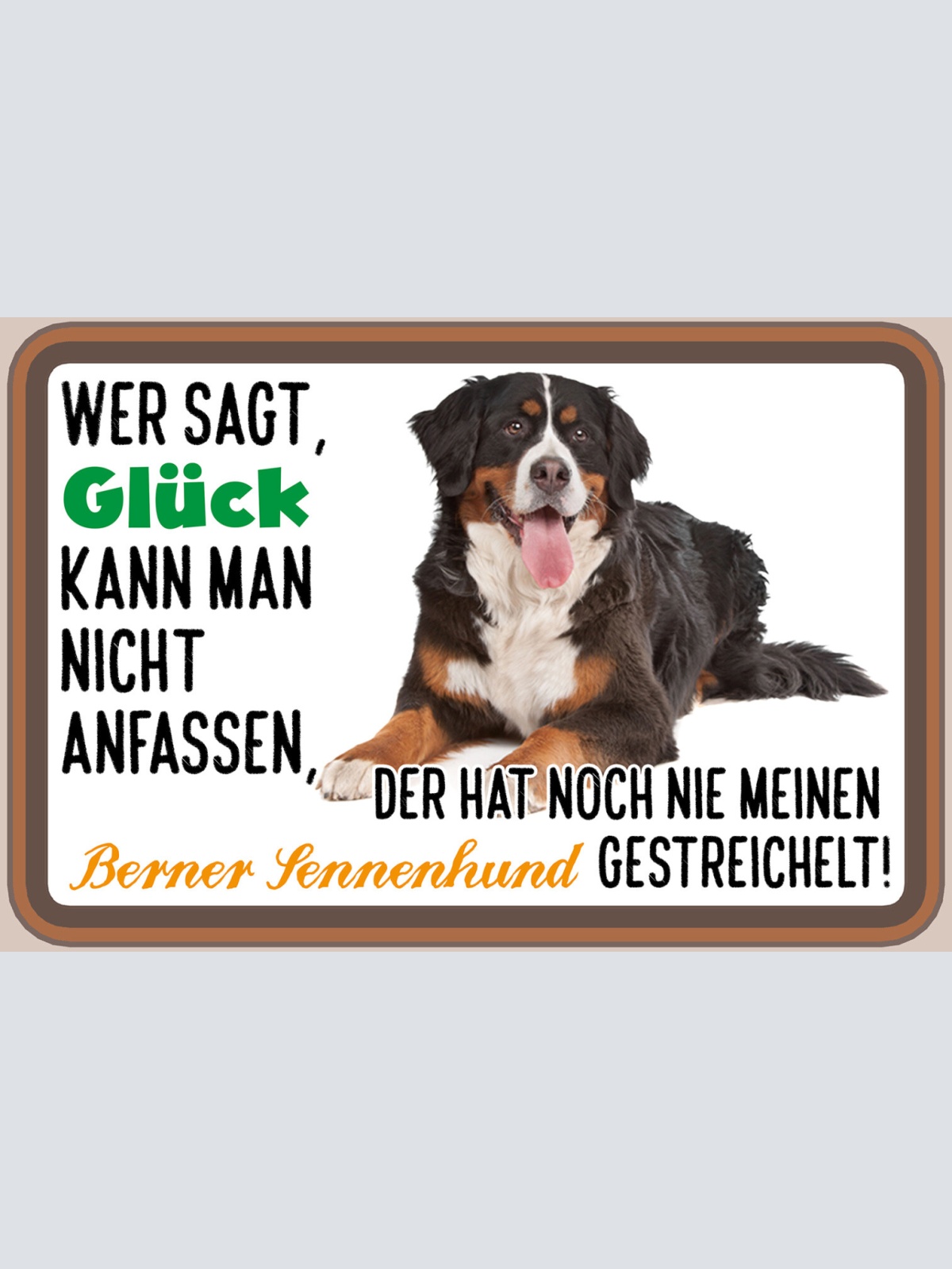 Schild Spruch Wer sagt Glück kann man nicht anfassen Berner Sennenhund  JW