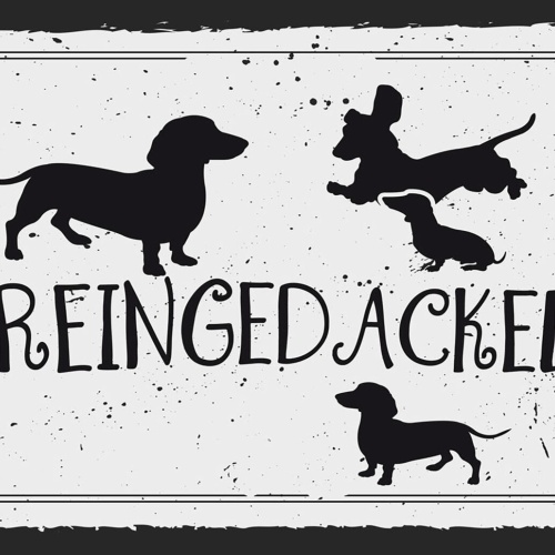 Schild Spruch Hereingedackelt Hund Dackel Willkommen JW