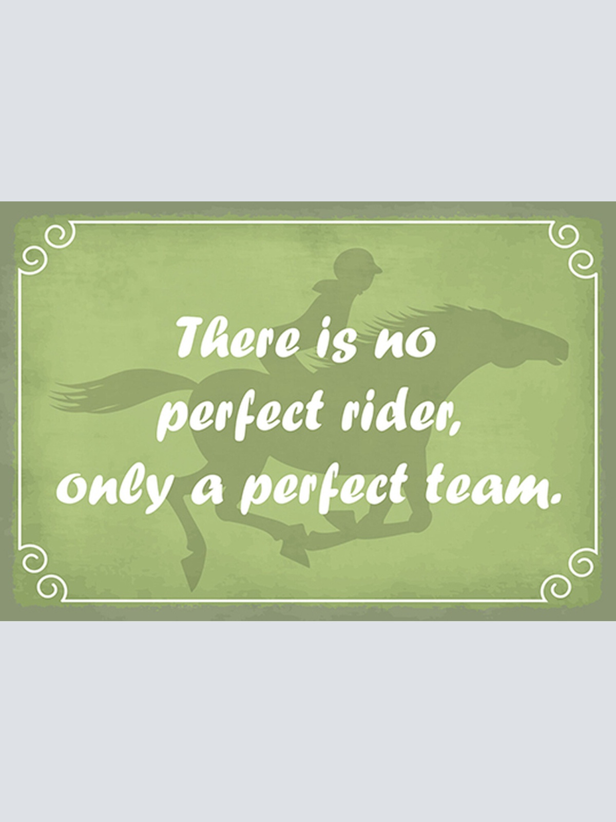 Schild Spruch No perfect rider only perfect team Pferd Reiten Kein perfekter JW