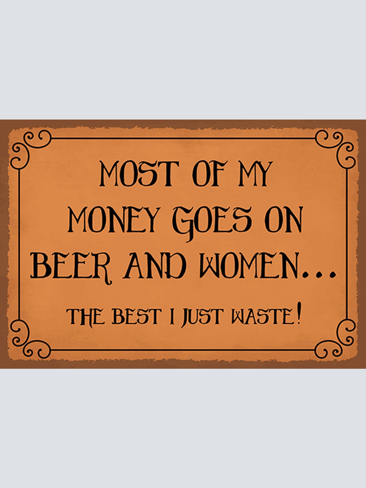 Schild Spruch Most of my money Beer & Women Meistes Geld für Bier und Frauen  JW