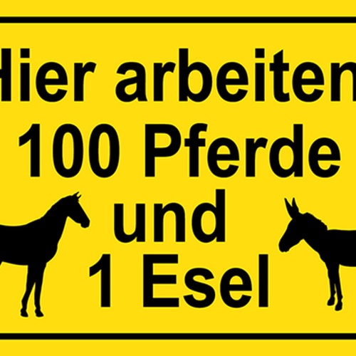 Schild Spruch Hier arbeiten 100 Pferde und 1 Esel JW