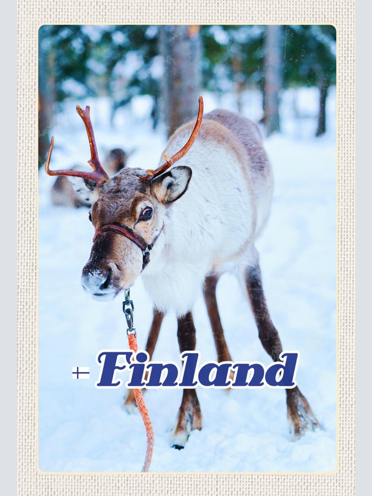 Schild Spruch Finland Finnland Rentier Wald Schnee Winter JW