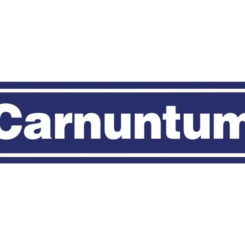 Schild Carnuntum Niederösterreich Rom Stadt Ort Straße 46 x 10 Blech od. Holz