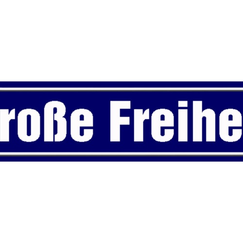Schild Große Freiheit St.Pauli Hamburg Ort Platz Straße 46 x 10 Blech od. Holz