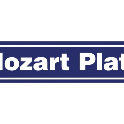 Schild Mozart Platz Salzburg Altstadt Amadeus Ort Straße 46 x 10 Blech od. Holz