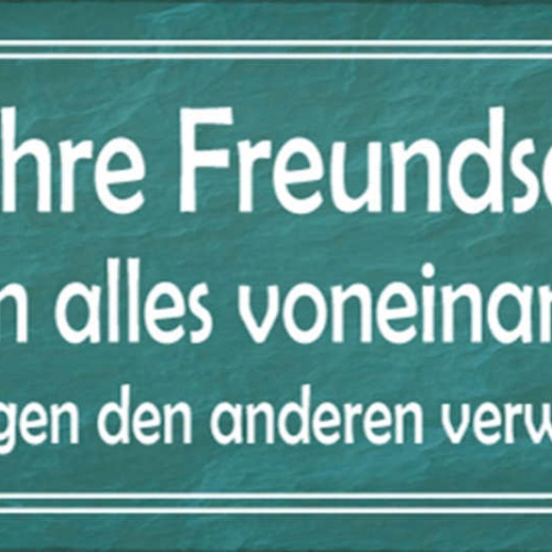 Schild Eine Wahre Freundschaft Ist Wenn Man Alles Voneinander Weiß Nie Verwenden