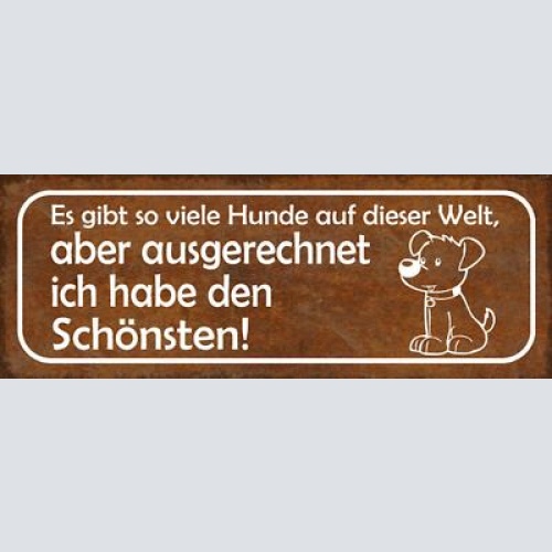 Schild es gibt viele hunde auf der welt aber ausgerechnet ich habe den schönsten
