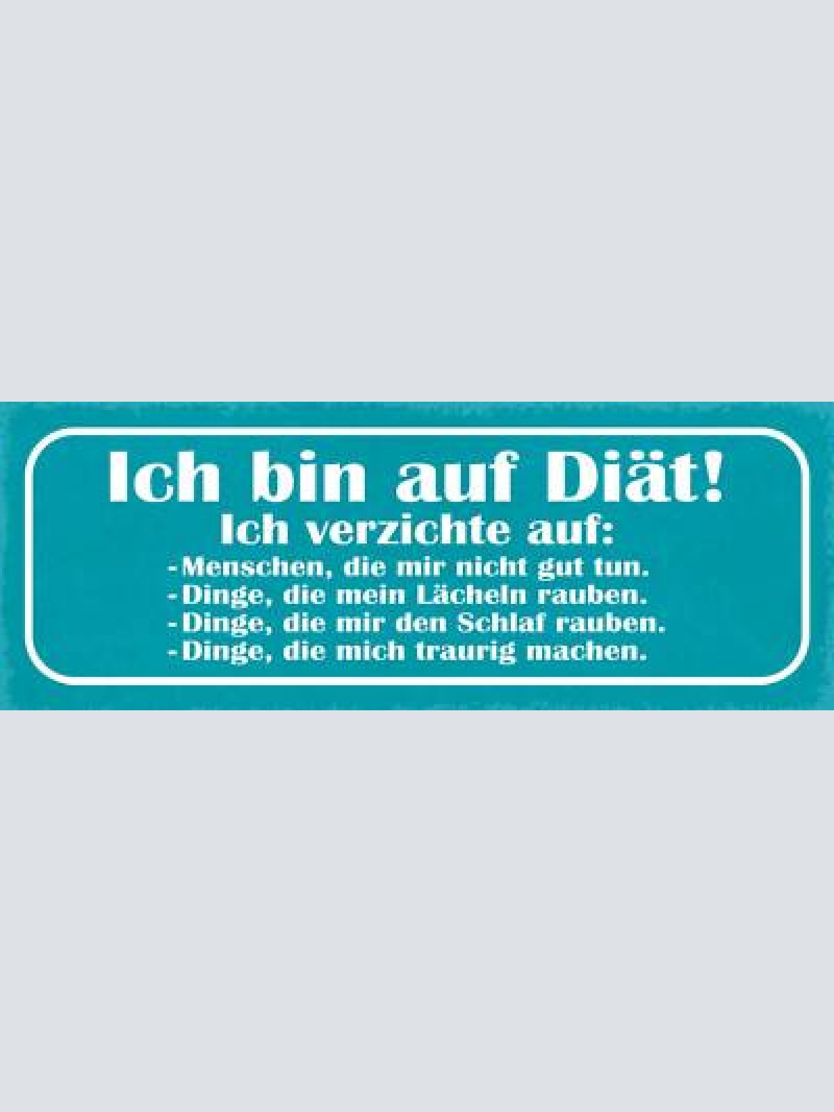 Schild ich bin auf diät verzichte auf menschen die mir nicht gut tun dinge 27x10