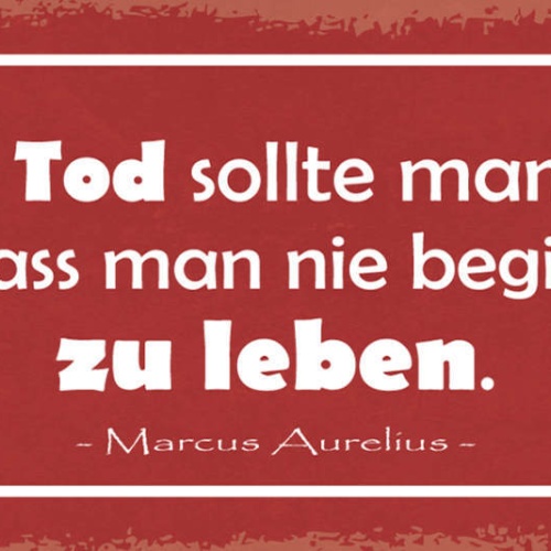Schild Nicht Den Tod Sollte Man Fürchten Sondern Dass Man Begonnen Hat Zu Leben