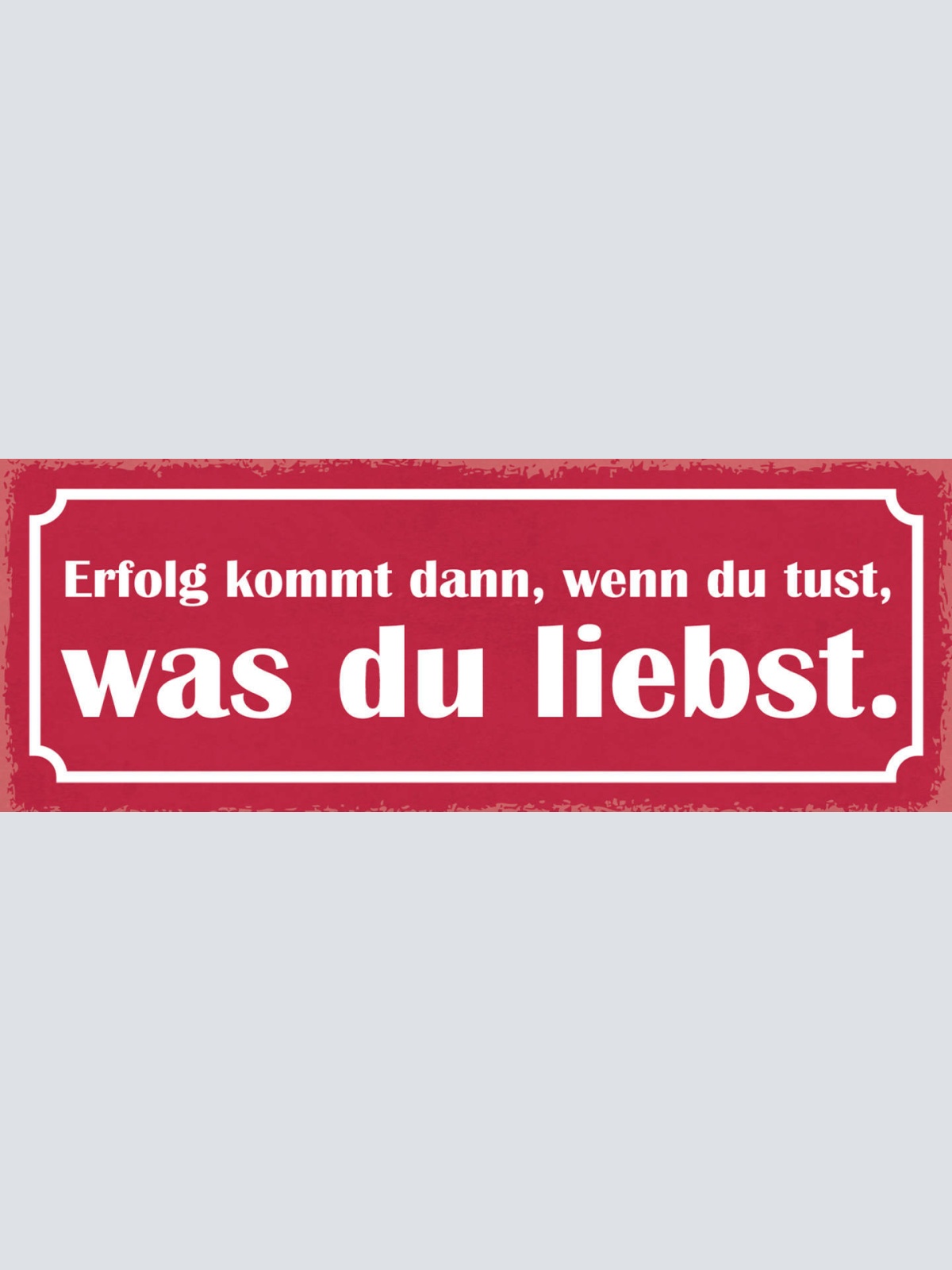 Schild Erfolg Kommt Dann Wenn Du Tust Was Du Liebst Leben 27x10 Blech od.Holz